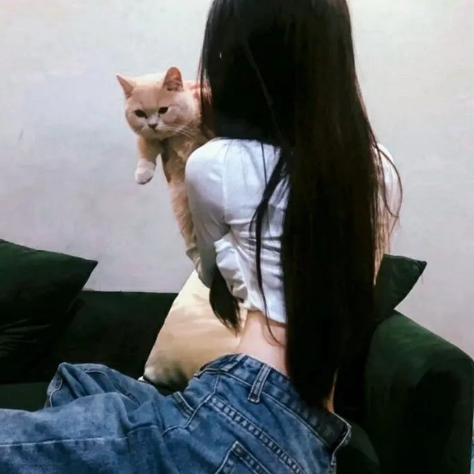 间谍亚契第十四季